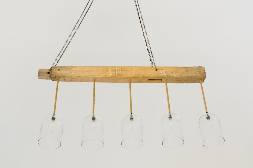 Photo pendant light