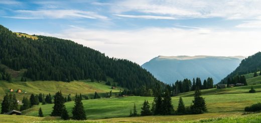 Photo champagne gold sconce
