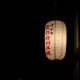 Photo Japanese style lamp